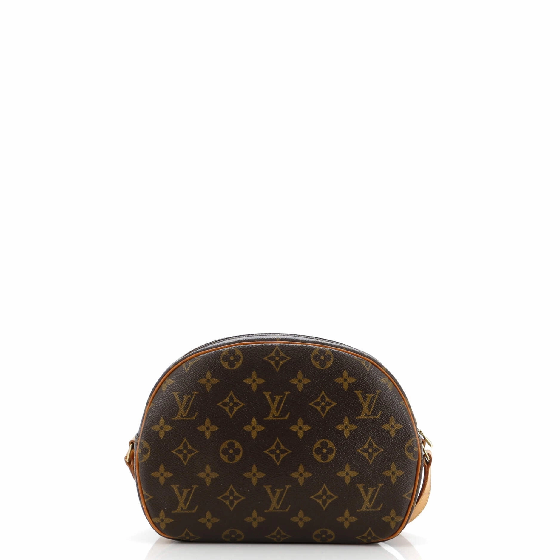 Blois Handbag Monogram Canvas