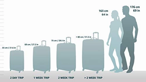 Briggs & Riley Transcend Large Expandable 29" Spinner, Slate