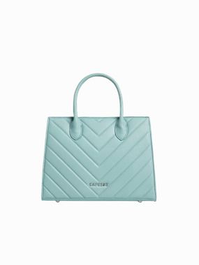 Caprese Riko Medium Powder Blue Satchel Bag