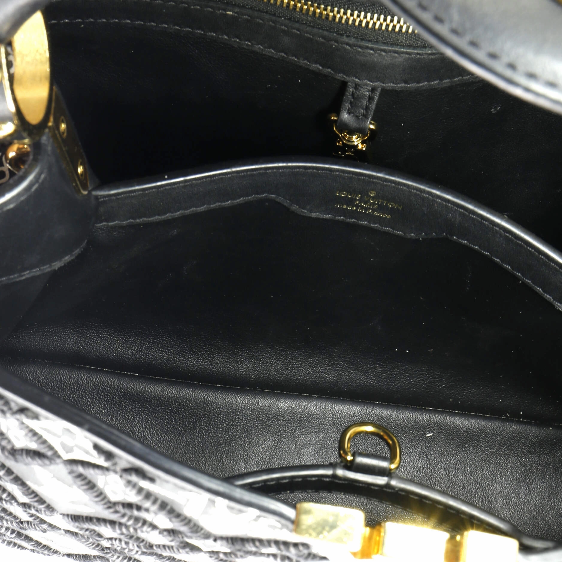 Capucines Bag Limited Edition Since 1854 Monogram Calfskin PM