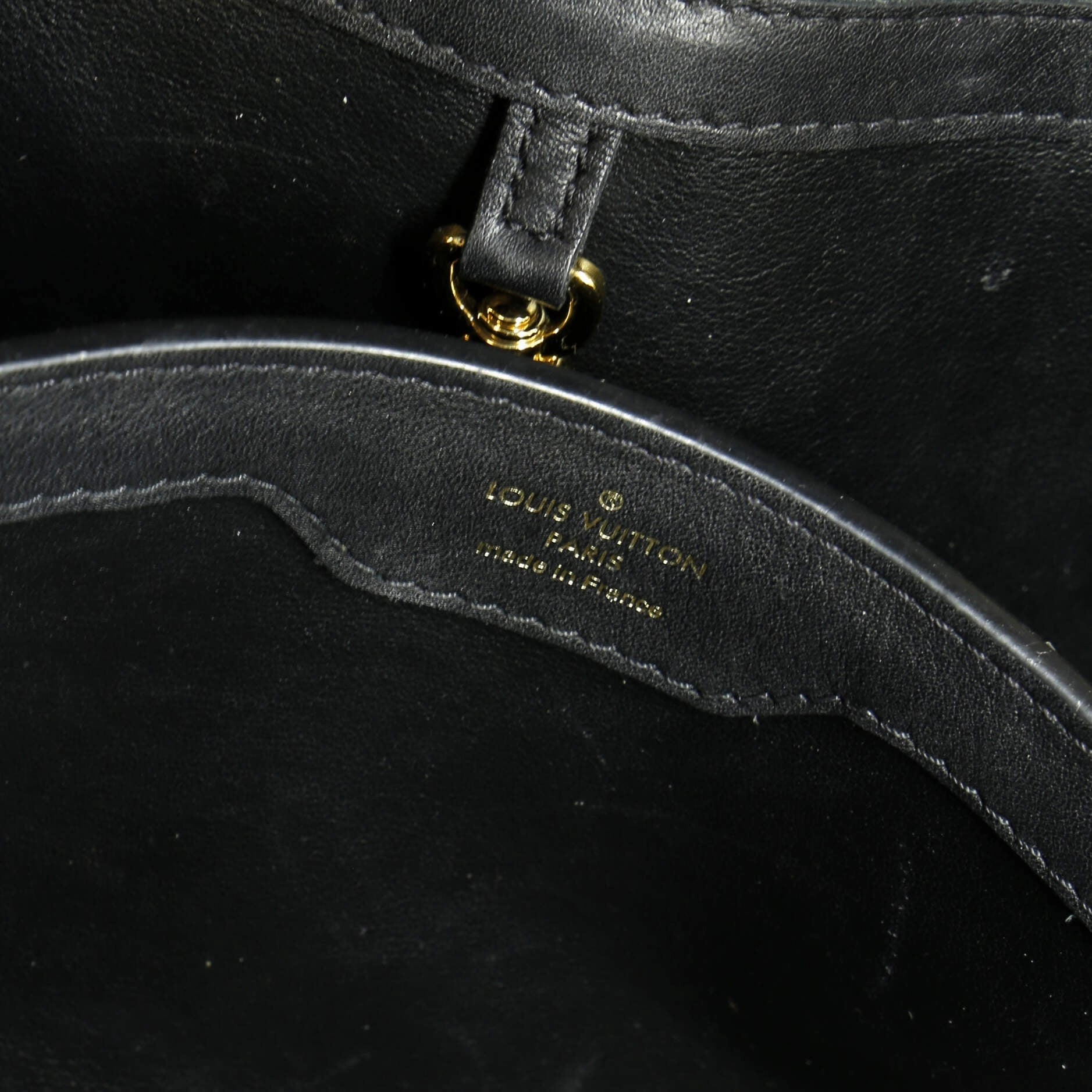 Capucines Bag Limited Edition Since 1854 Monogram Calfskin PM