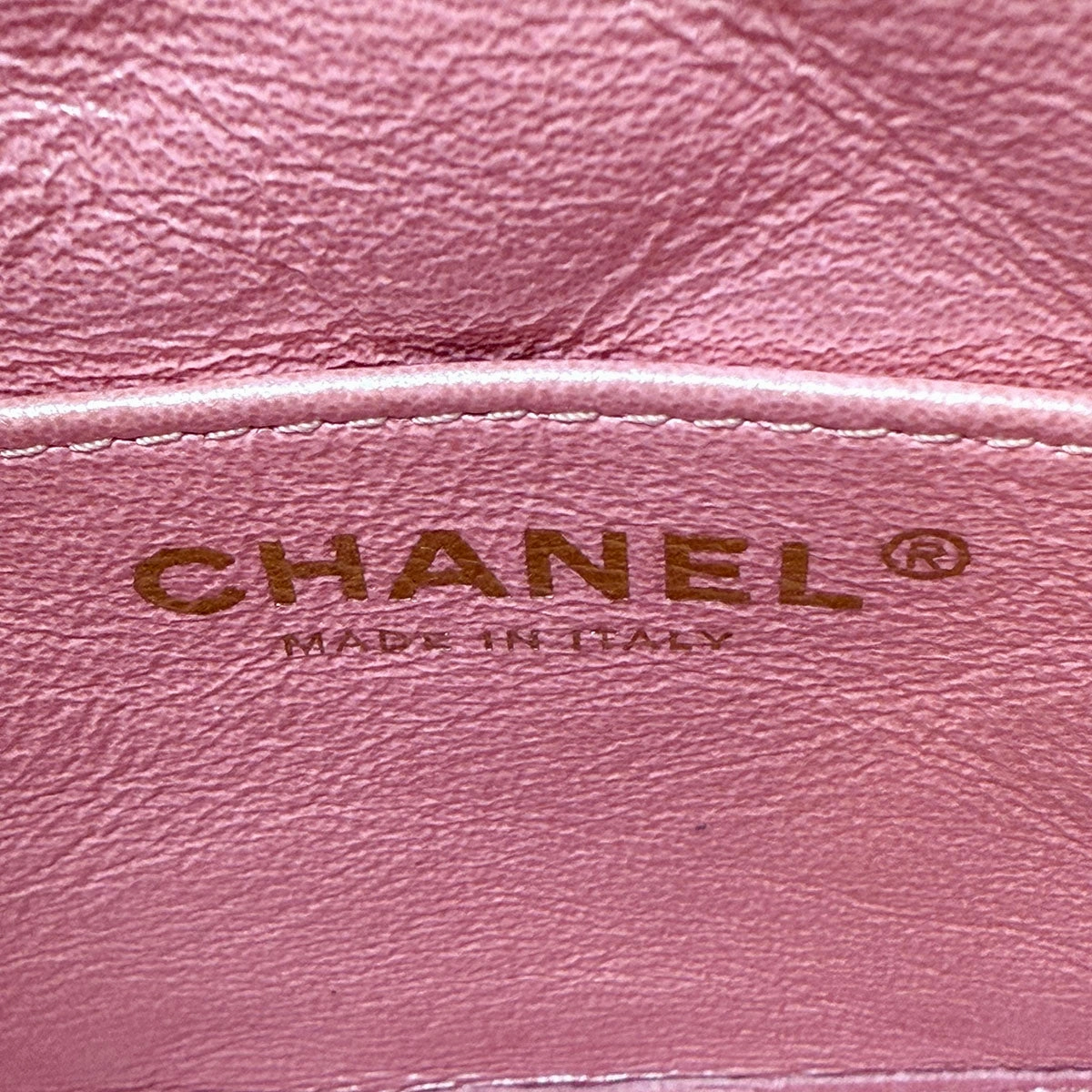 Chanel Iridescent Camera Bag