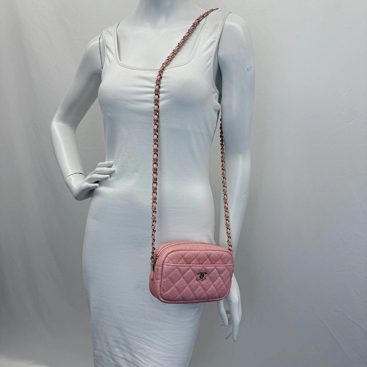 Chanel Iridescent Camera Bag