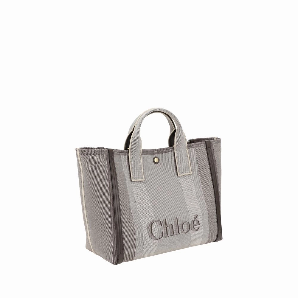 Chlo?? Carry Handbag