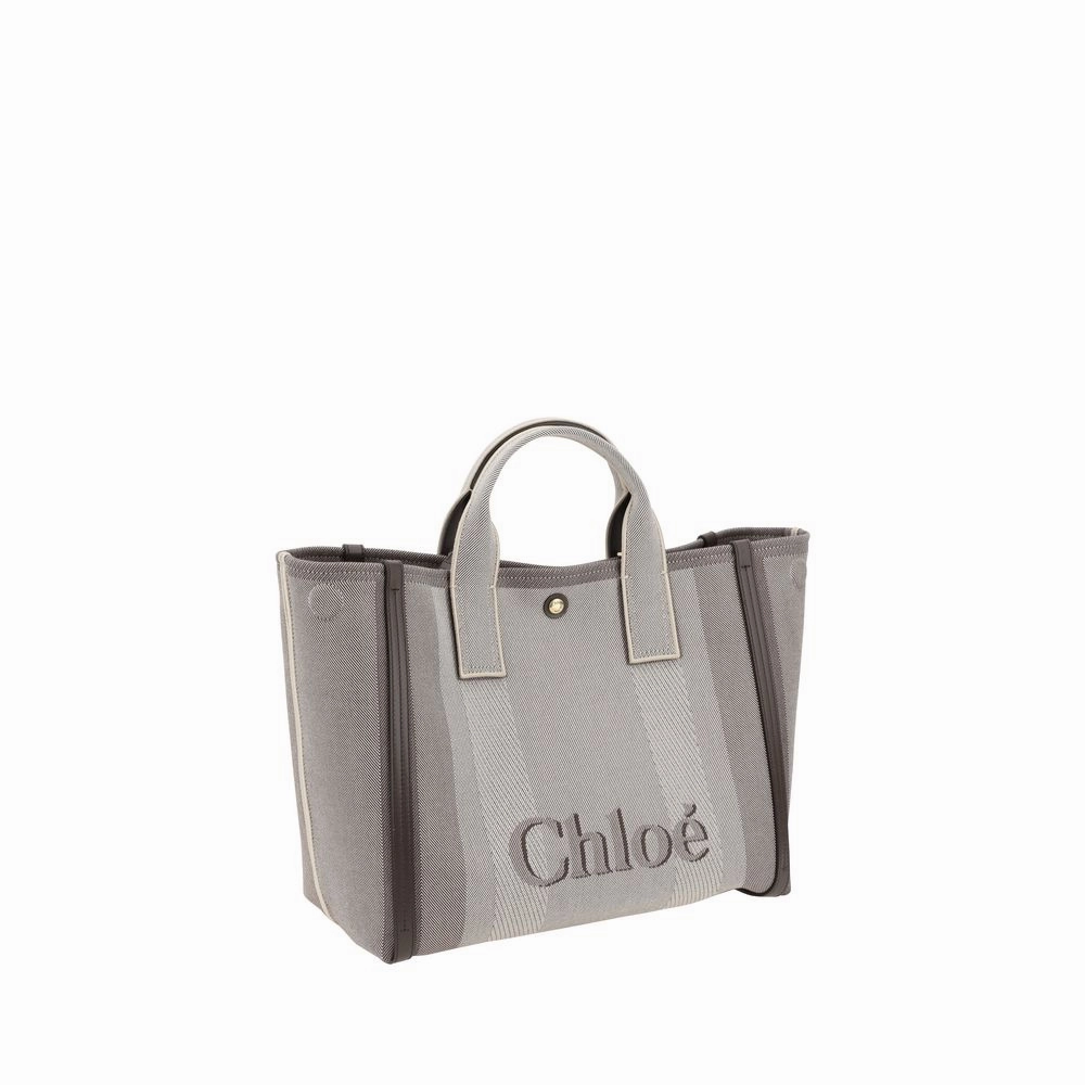 Chlo?? Carry Handbag