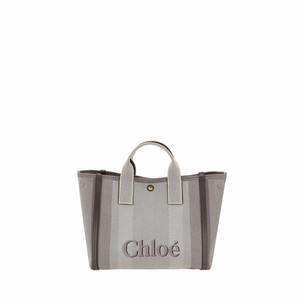 Chlo?? Carry Handbag