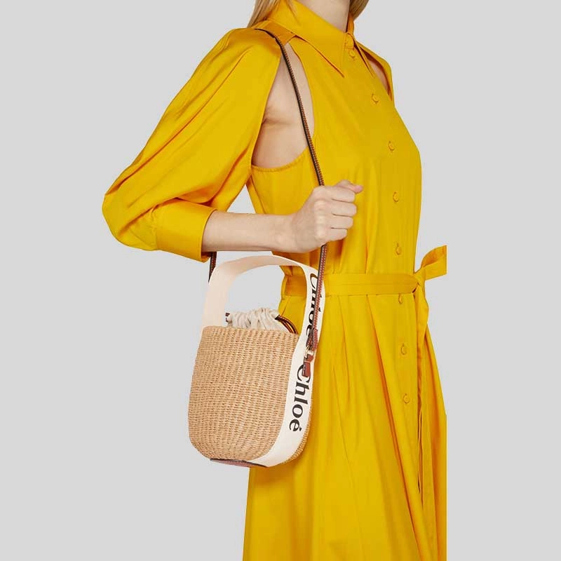 CHLOE Small Woody Basket In Natural Fibers White CHC22SS381G55101