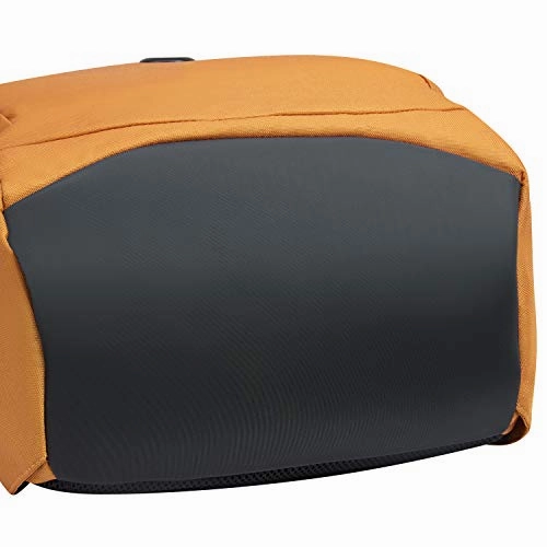 DELSEY Paris 15.6" Laptop, Yellow, 15.6 Inch Sleeve