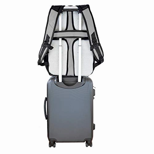 Denco University of Florida Gators Laptop Backpack- Fits Most 17 Inch Laptops and Tablets - Ideal for Work, Travel, School, College, and Commuting