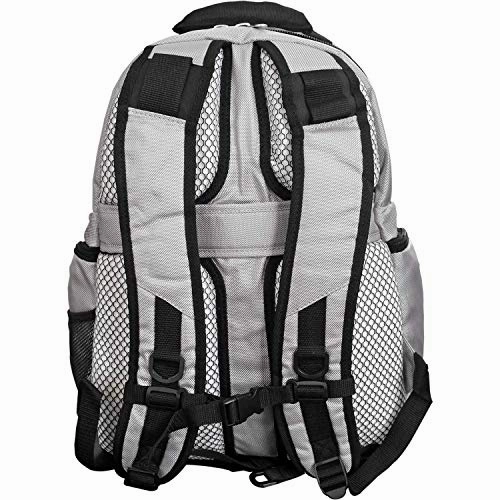 Denco University of Florida Gators Laptop Backpack- Fits Most 17 Inch Laptops and Tablets - Ideal for Work, Travel, School, College, and Commuting