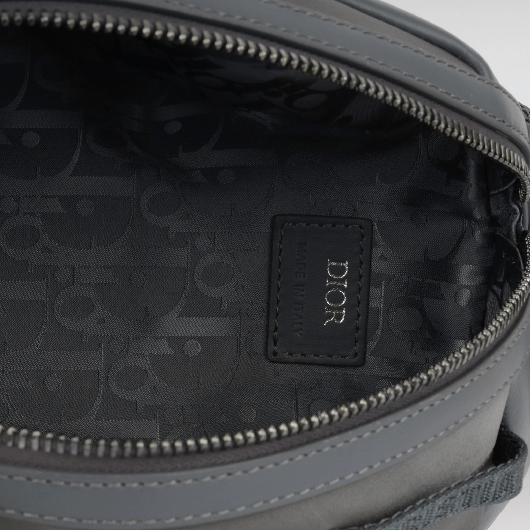 Dior Scarab Bag (NWT)