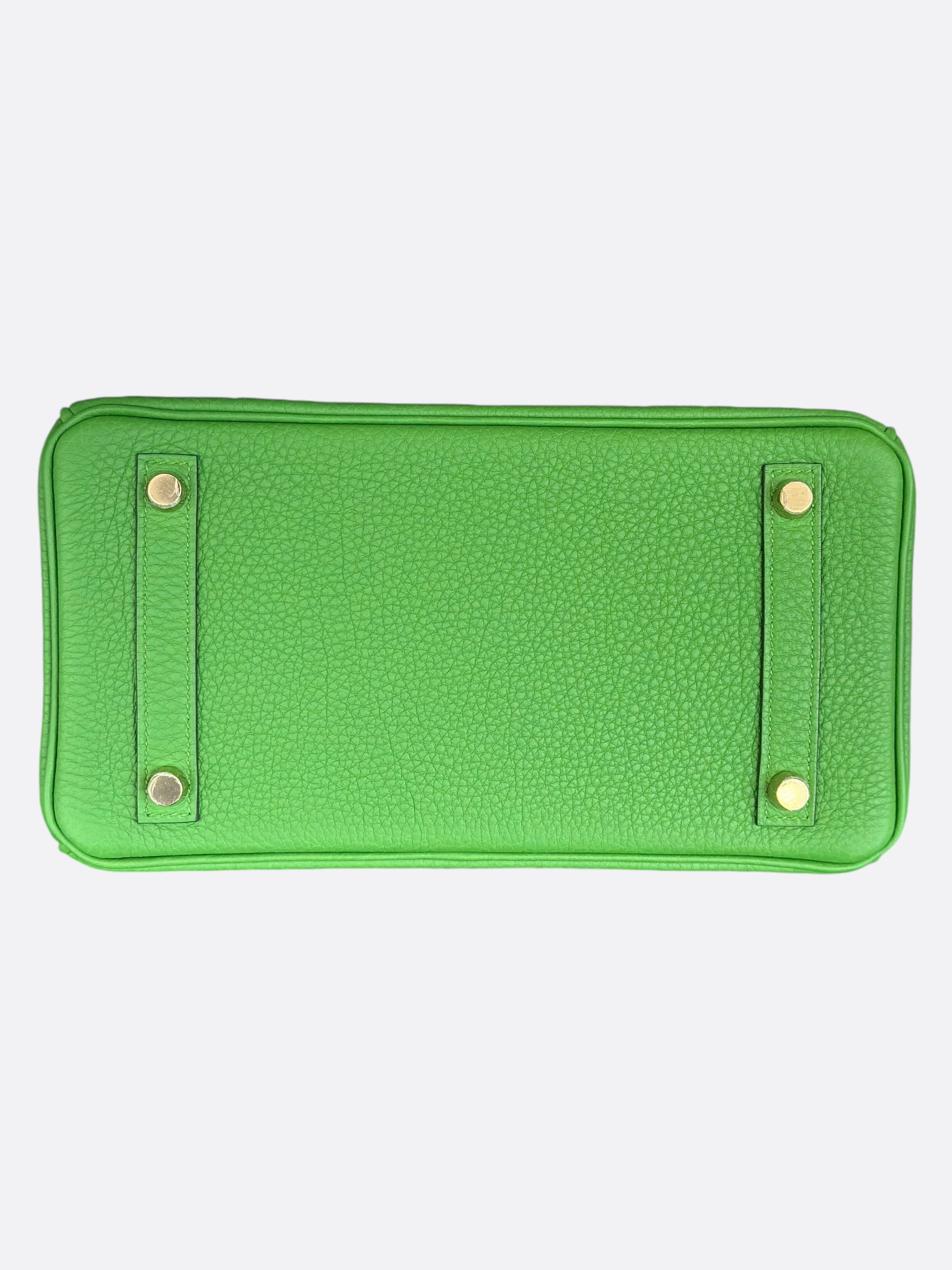 Hermes Vert Yucca Togo Birkin 25