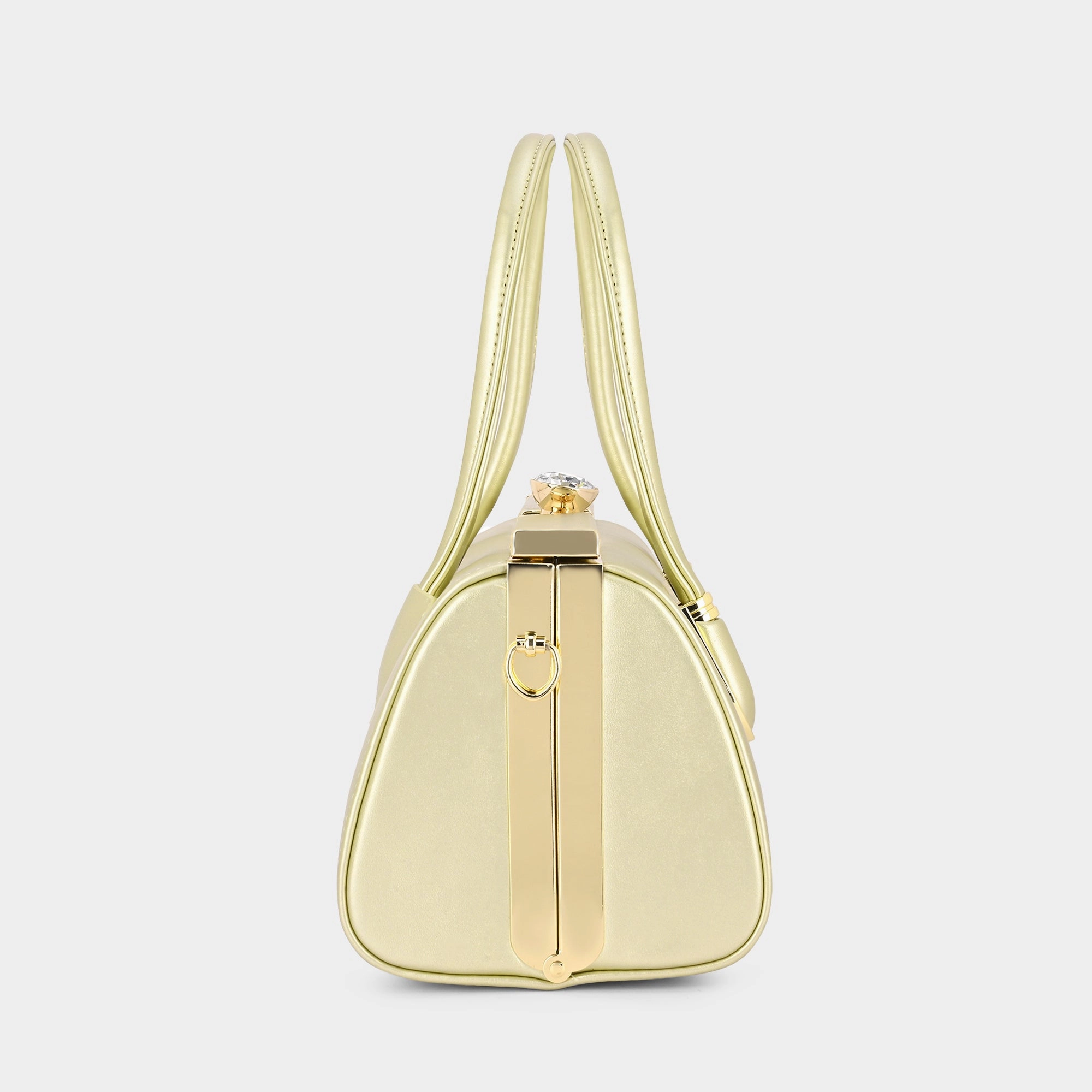 Lavie Luxe Dazzle Gold Medium Women's Framed Bag