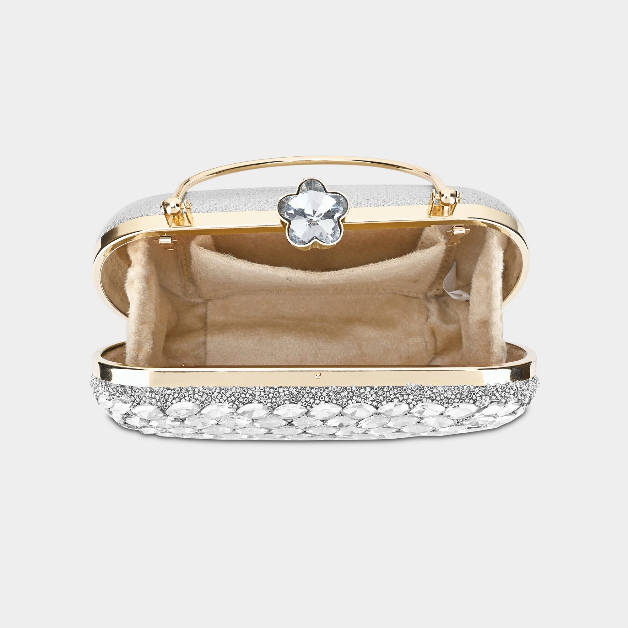 Lavie Luxe Jewel Silver Medium Women's Frame Clutch