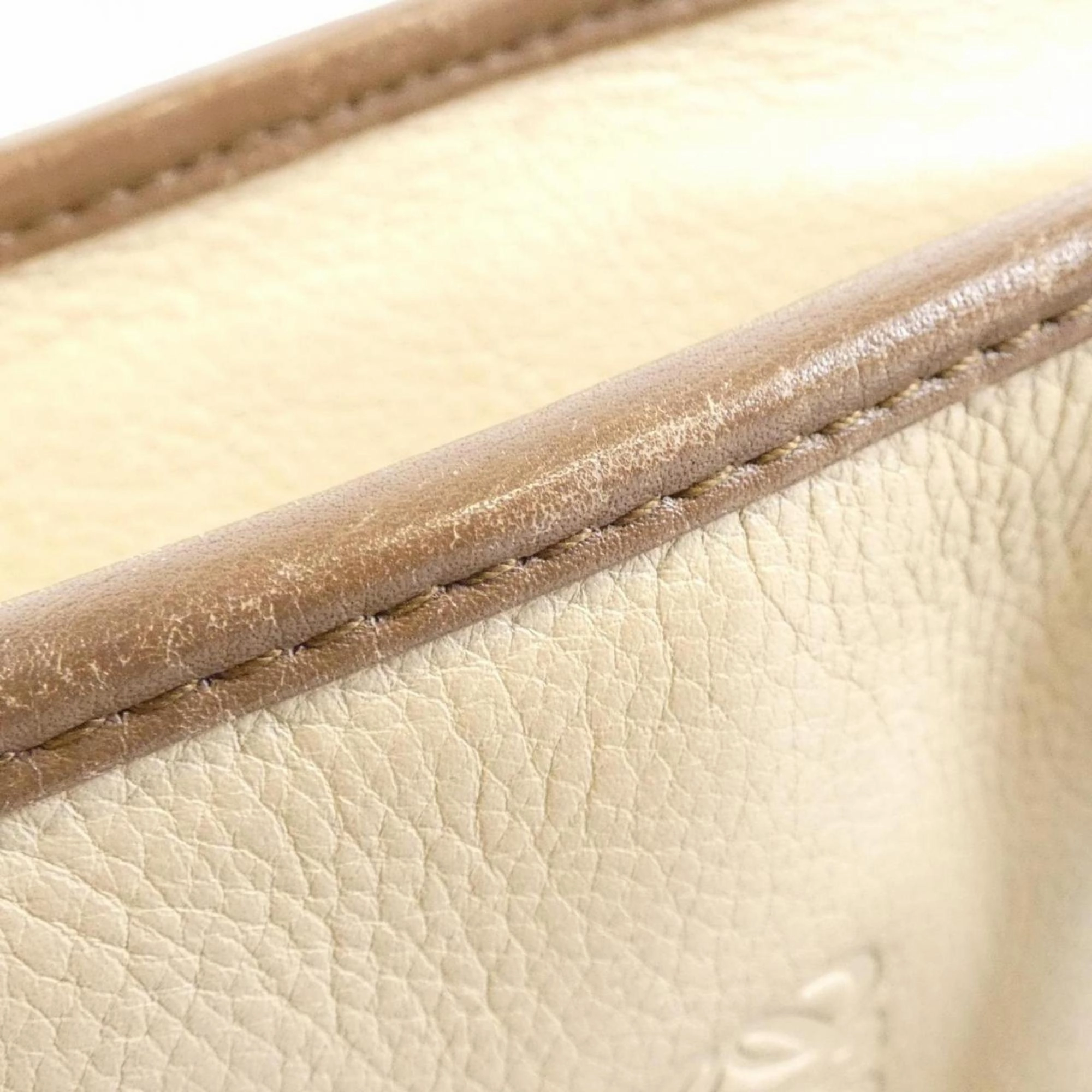 Loewe Amazona Leather Handbag (Pre-Owned)