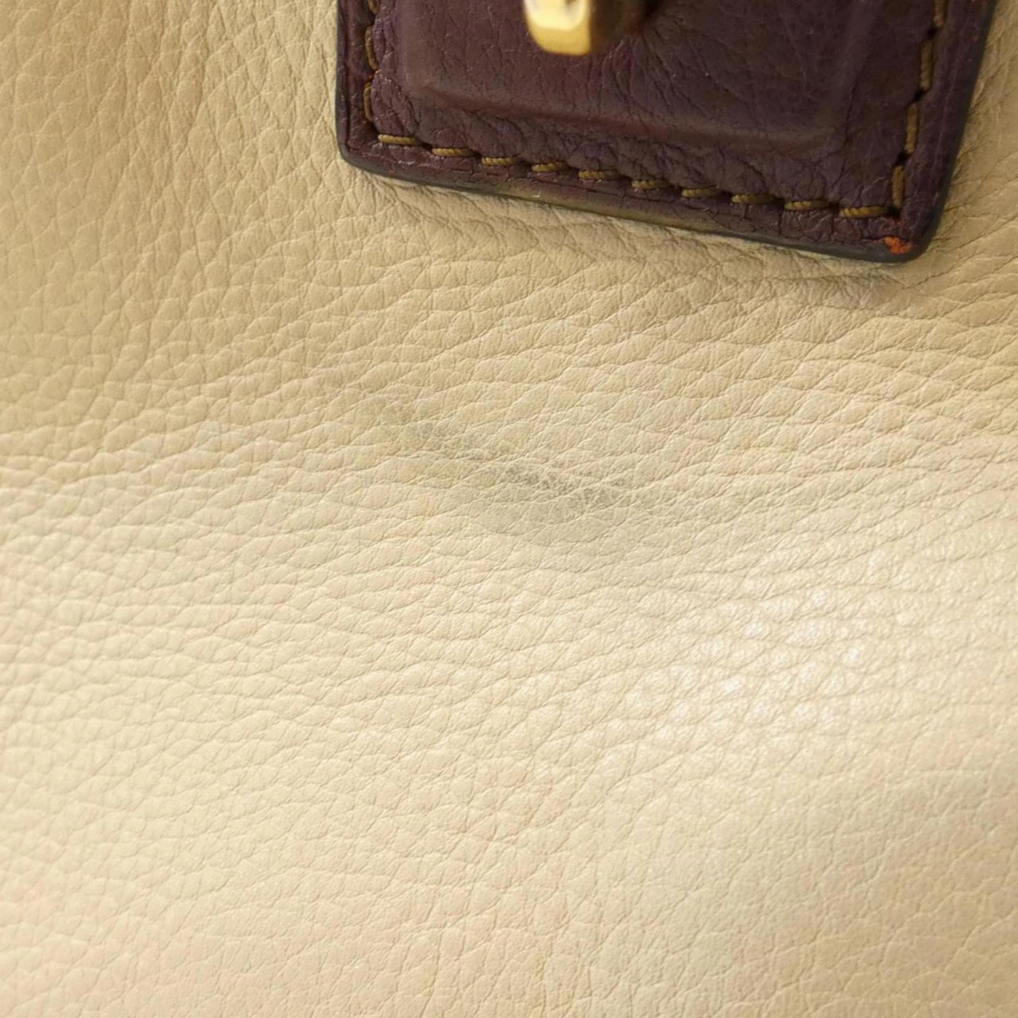 Loewe Amazona Leather Handbag (Pre-Owned)