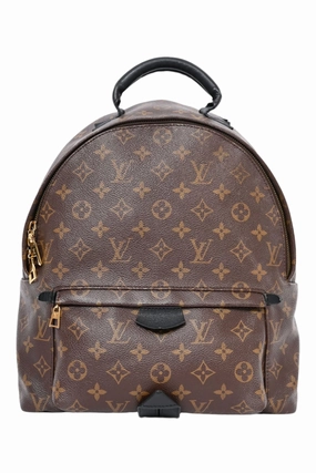 Louis Vuitton Monogram Palm Springs Backpack MM