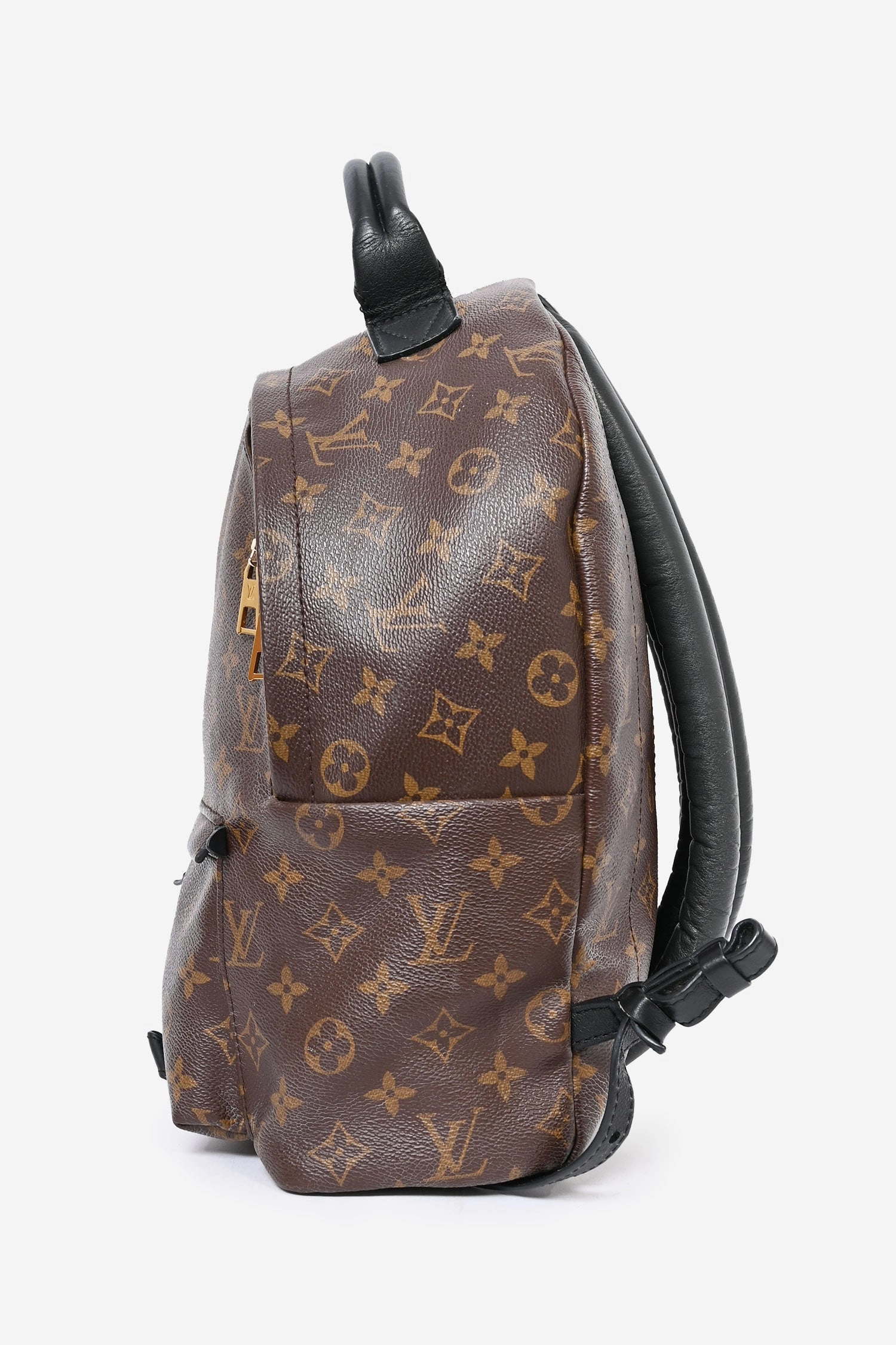 Louis Vuitton Monogram Palm Springs Backpack MM