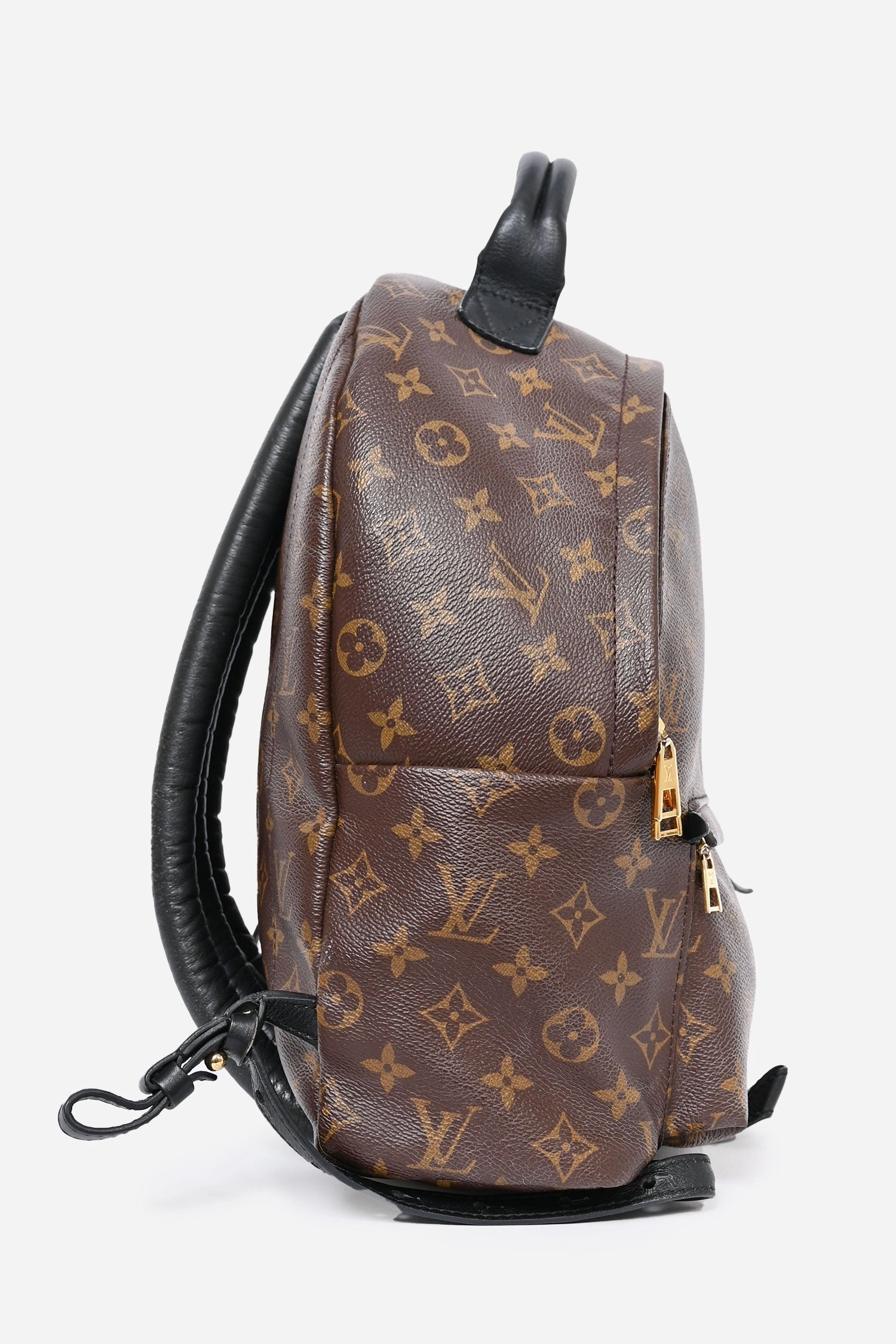 Louis Vuitton Monogram Palm Springs Backpack MM