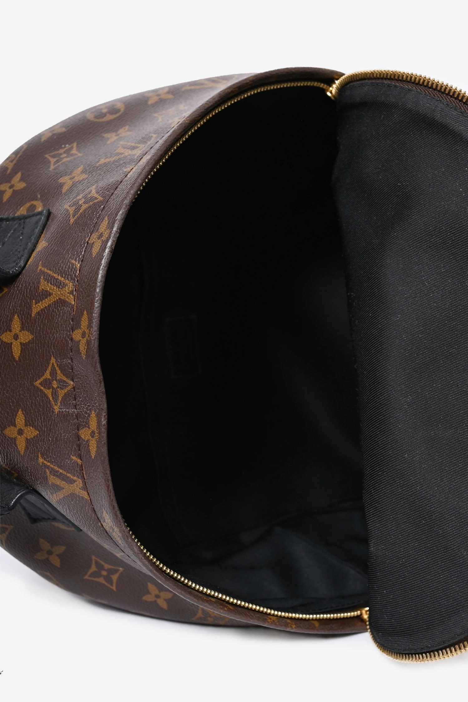 Louis Vuitton Monogram Palm Springs Backpack MM