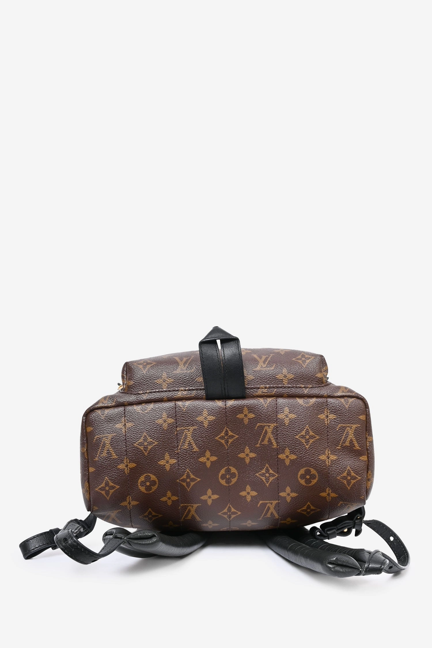 Louis Vuitton Monogram Palm Springs Backpack MM