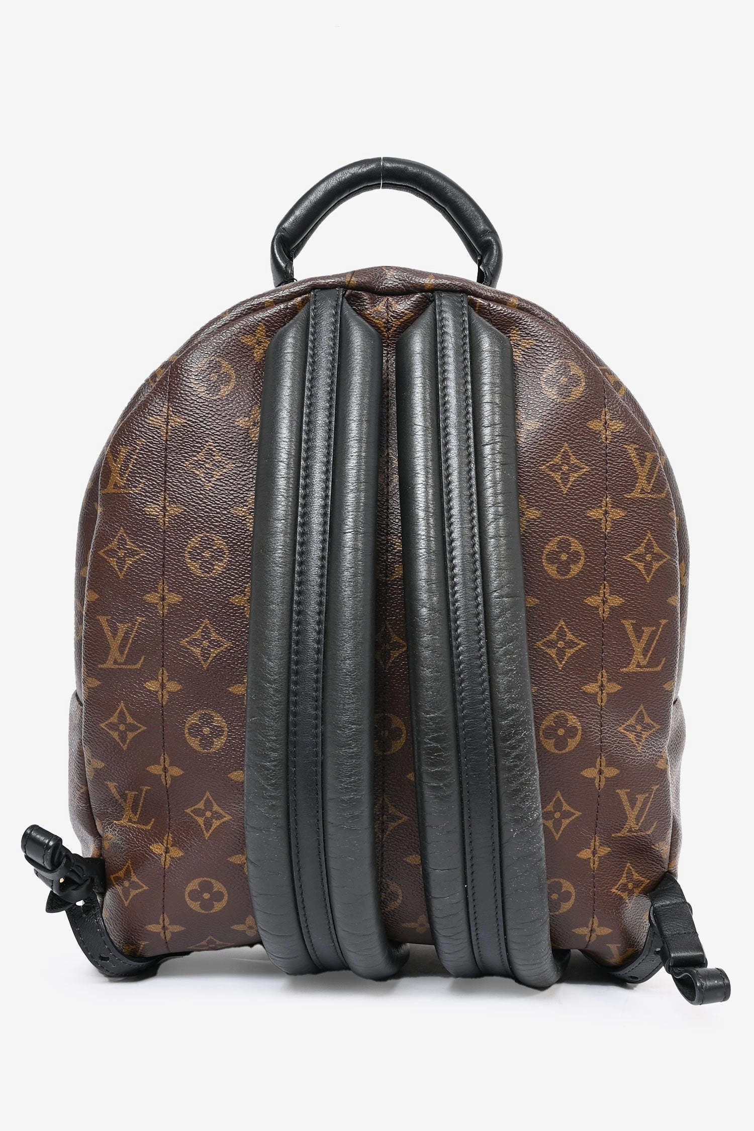 Louis Vuitton Monogram Palm Springs Backpack MM