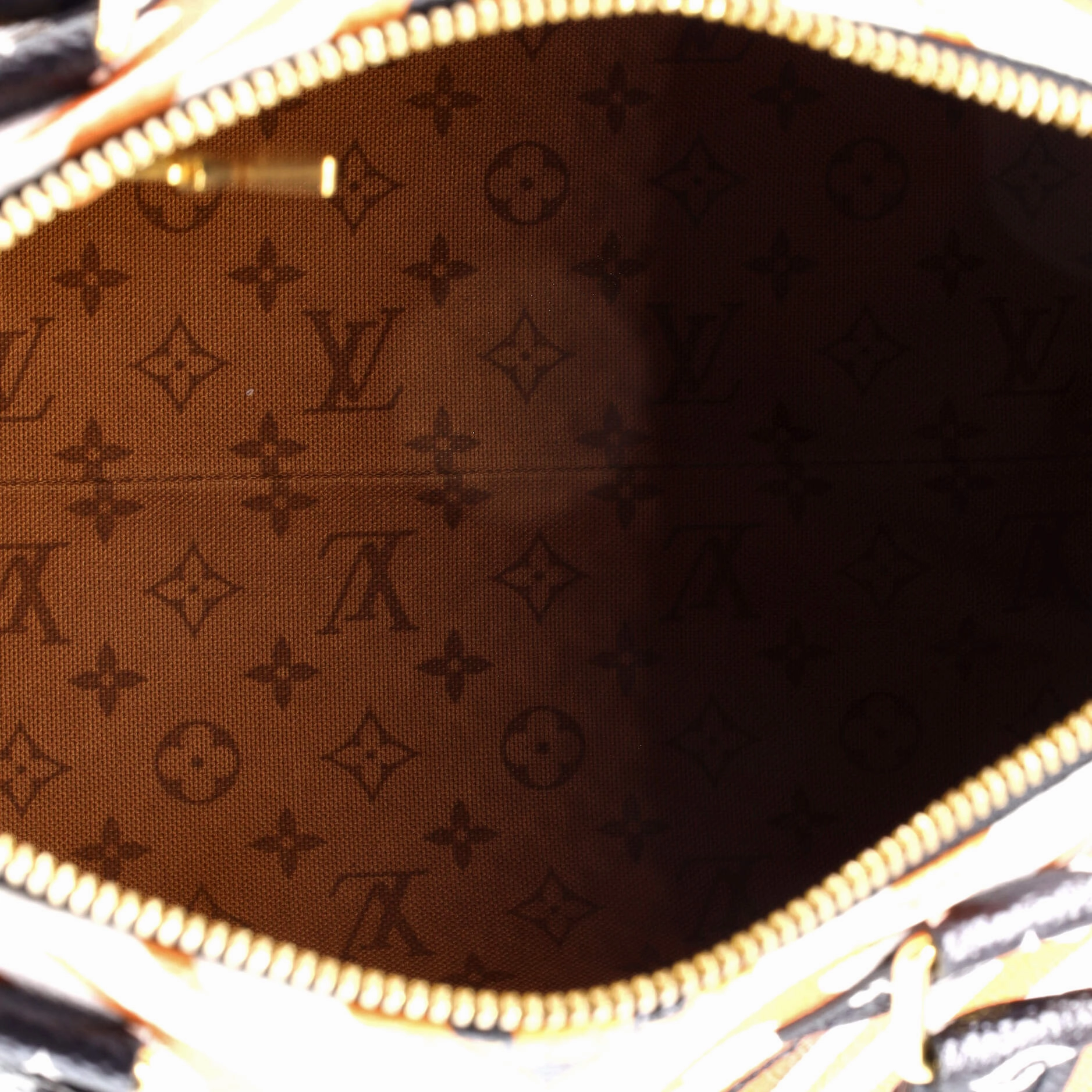 Speedy Bandouliere Bag Limited Edition Crafty Monogram Giant 25