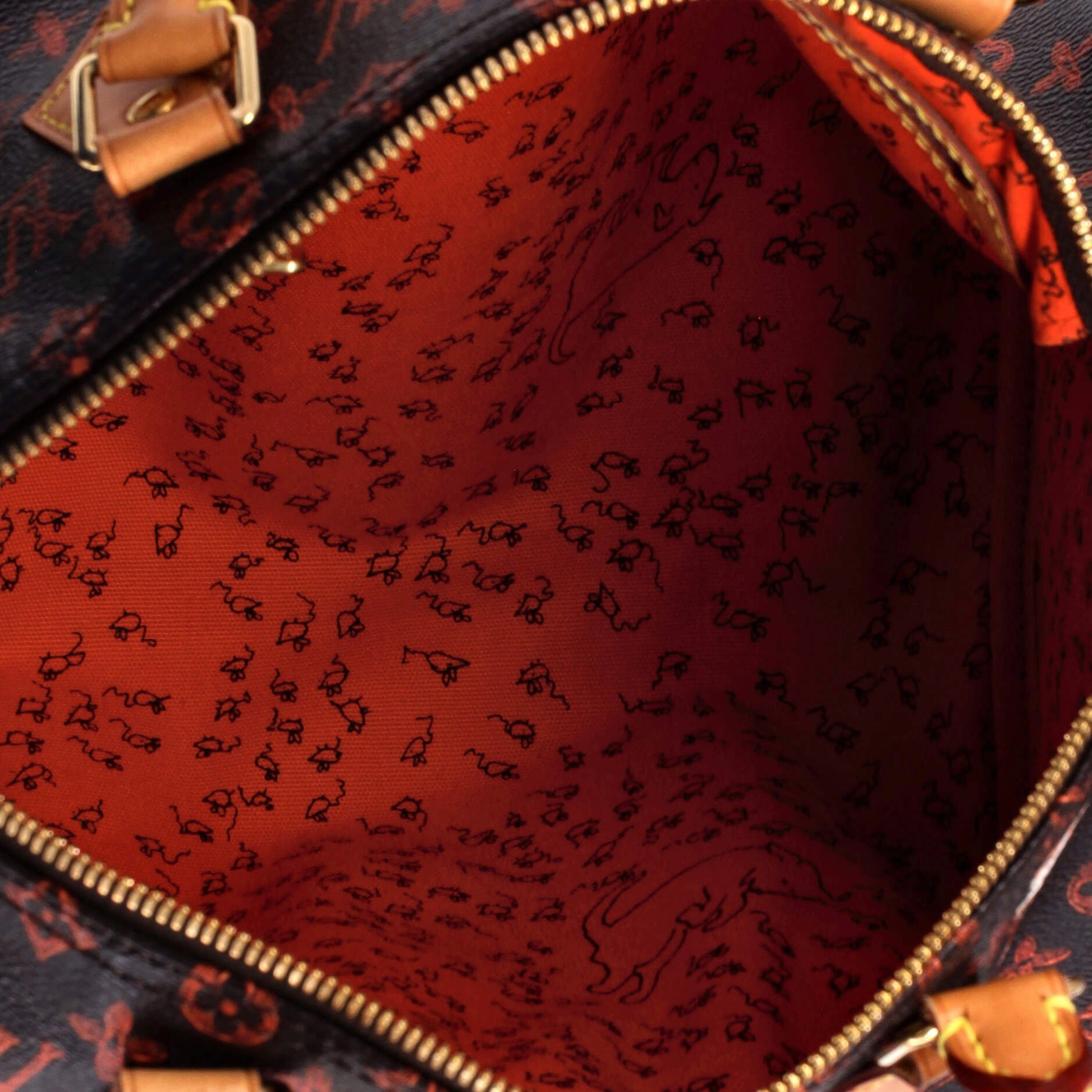 Speedy Bandouliere Bag Limited Edition Grace Coddington Catogram Canvas 30