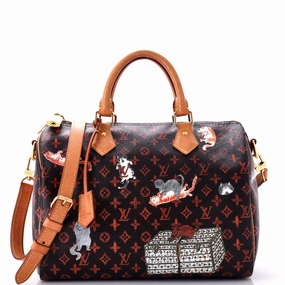 Speedy Bandouliere Bag Limited Edition Grace Coddington Catogram Canvas 30