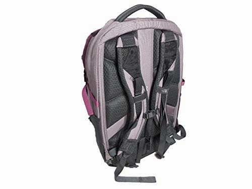 The North Face Women's Borealis Backpack,15" Laptop - QUAILGH/AMRTHPR, One Size (NF00CHK3ZTB-OS)